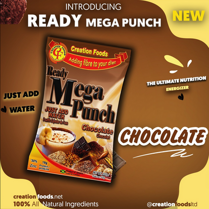 Ready Mega Punch (Chocolate)